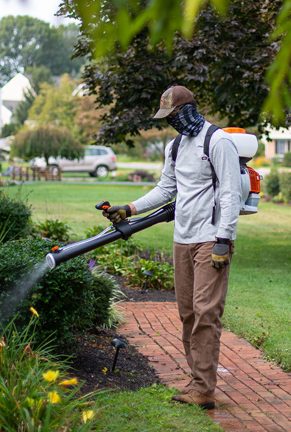 Mosquito Spraying