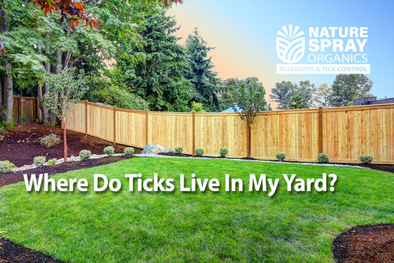 Where Do Ticks Live In My Yard? Nature Spray Organics